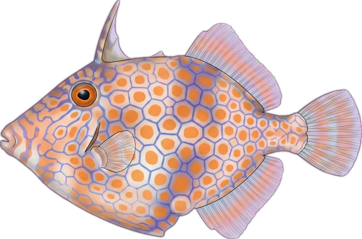 Mosaic Leatherjacket illustration