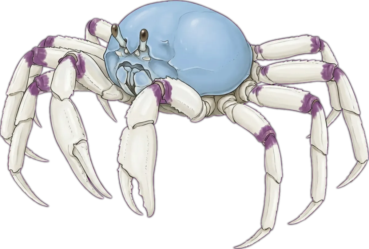 Soldier Crab illustration